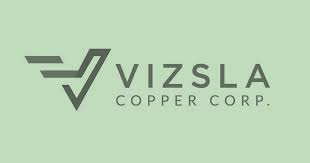 Vizsla Copper | The New Money
