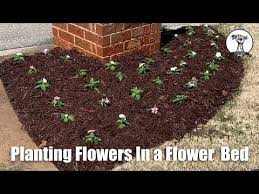 Maybe you would like to learn more about one of these? How To Planting Seasonal Flowers In A Bed Youtube