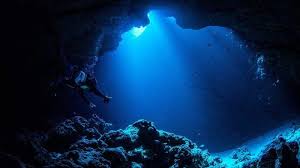 We did not find results for: Miris Penyelam Ini Beberkan Kehidupan Di Titik Terdalam Palung Mariana Tribun Travel