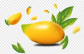 Are you searching for mango fruit png images or vector? Mango Fruits Illustration Lemon Mango Mango Element Template Natural Foods Food Png Pngwing