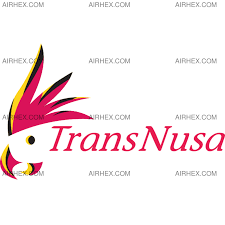 Transnusa Logo Airline Logo Square Logo Logos