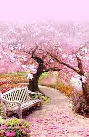 Pin De Nana Em Desenhos E Livros Para Colorir Lindas Paisagens Belos Jardins Fotografia De Paisagem
