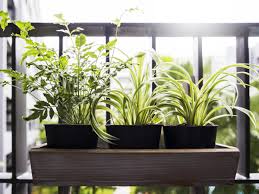 Planters stay put even in windy locations. 6 Best Balcony Planters The Independent The Independent