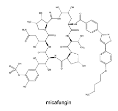Image result for Micafungin