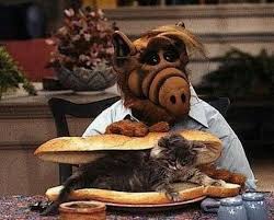 I Love Alf Aka Gordon Shumway Making A Blt Bacon Lucky And Tomato Sandwich Animals Alf Kids Shows
