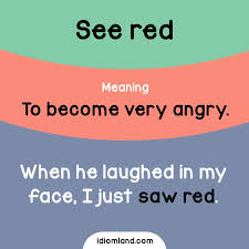 Idiom Of The Day See Red Meaning To Become Very Angry Example When He Laughed In My Face I Just Saw Red English Idioms English Vocabulary Words Idioms