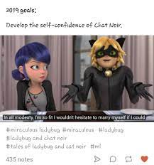 Chat If You Act Like That Ladybug Won T Fall In Love With You Miraculous Ladybug Funny Miraculous Ladybug Fan Art Miraculous Ladybug New York