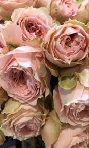 We're family owned and operated, and committed to. P Antoine Pattawatta Profile Pinterest