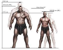 And neither of these guys have the extra internal organs, nor expanded and densified musculoskeletal system that the space marine has. Adeptus Astartes Shopping For Food Forum Dakkadakka Roll The Dice To See If I M Getting Drunk