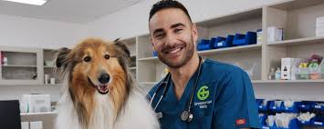 As one of the oldest veterinary practices in the principality, we've had plenty of practice caring for our clients and their pets. Fjj0ukuakbrwnm