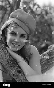 Vink hi-res stock photography and images