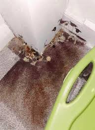 Found this in my daddy's room what is this stuff