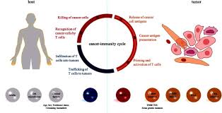 Scientology is a set of beliefs and practices invented by american author l. Biomarkers For Immune Checkpoint Therapy Targeting Programmed Death 1 And Programmed Death Ligand 1 Sciencedirect