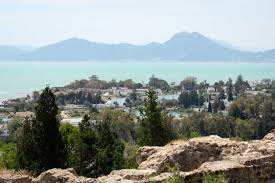 Tunis Sidi Bou Said Et Carthage La Magie Tunisienne Opere En 2020 Carthage Tunisie Voyage Tunisie