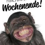 Spruche Zum Wochenende Spruche Suche