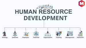 The field of hrd or human resource development encompasses several aspects of enabling and empowering human resources in organization. Human Resource Development Or Hrd Marketing91