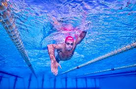 We can consider the m&a about dainese, stefanel and franklin marshall. Open Water Shoal Feel The Slow Burn Heat Of Progress In Gregorio Paltrinieri As Olympic 1500 King Takes Euro 5km Title Stateofswimming