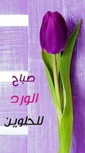 صباح الخير أحبتي صباحكم ورد تفاؤل بالله ورضا يوم جديد good morning flowers pictures good morning flowers morning pictures