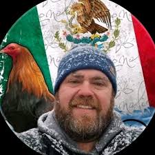 Mel sims Available Dm for more details #gamefowlnation #buffalogamefra...