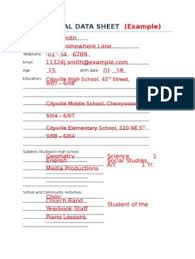 Personal Data Sheet Example Biodata Format Bio Data Bio Data For Marriage
