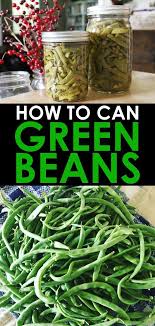 How To Can Green Beans Recipe In 2020 Pressure Canning Green Beans Green Beans Can Green Beans