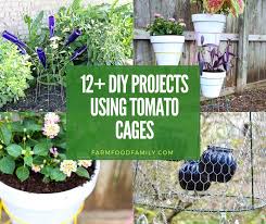 If you grow indeterminate tomatoes, these tomato trellis designs and ideas will make you head on out to the hardware store and get to building! 12 Awesome Diy Garden Hacks Using Tomato Cages For 2021