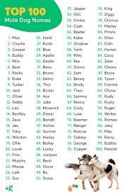 Top 100 Most Popular Dog Names In 2020 Rover Com Dog Names Top Dog Names Cute Animal Names