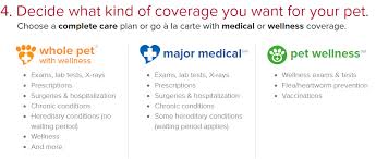 © copyright 2021 morningstar, inc. Pet Insurance Is Very Important Chameleon Forums