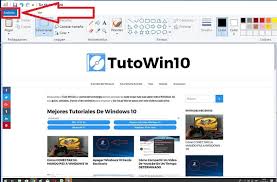 Check spelling or type a new query. Como Hacer Una Captura De Pantalla En Windows 10 2021