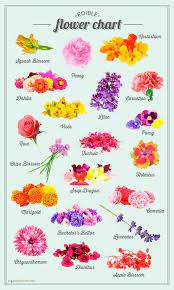 29 Flower Recipes To Brighten Your Impending Winter Edible Flowers Recipes Flower Food Flower Chart