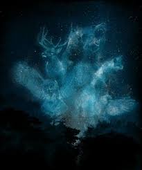 Daily Tee Spirits Of The Forest T Shirt Design By Sebasebi Animal Spirit Guides Spirit Animal Animal Spirit Guide