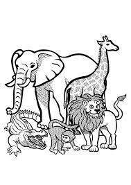Dibujo Para Colorear Animales En Libertad Img 29436 Paginas Para Colorear De Animales Paginas Para Colorear Dibujos Para Colorear