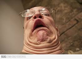Not By The Hair Of My Chinny Chin Chin Gif Not By The Hair Of My Chinny Chin Chin Chin Chin Chin Chin Funny Pictures Can T Stop Laughing Derp Reaction Face