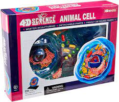 An extensive teacher guide is included. Amazon Com Famemaster 4d Science Animal Cell Anatomy Model Toys Games
