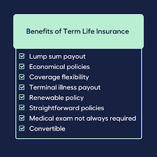 Term Life Insurance - My Money Sorted