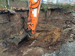 Should you find this invader on your property the first thing you will probably do is to try to find out how to get rid of or. Japanese Knotweed Removal How To Kill Guide