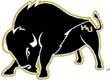 Harding ID Camp