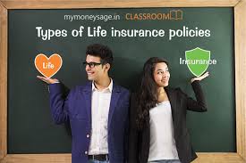 Like most people, you want to enjoy doing everything you can in this life but also be protected in case something were to happen. Types Of Life Insurance Policies In India Mymoneysage Blog