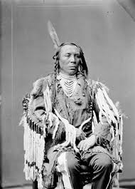 Chief Old Crow Crow 1880 Photo By C M Bell Source National Anthropological Archi Native American Mythology Native American Images Native American Indians