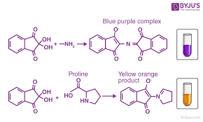 Ninhydrin Test - Reaction, Principle, Procedure, Result Interpretation
