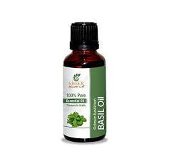 Benefits of basil oil, with picture video tutorial of how to make basil oil. Basil Oil 100 Pure Undiluted Natural Uncut Therapeutic Grade Steam Di Ninelife Europe