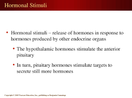 15 1 The Endocrine System Ppt Download