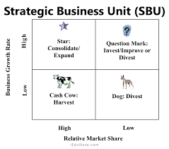 Bcg Matrix Strategic Business Unit Sbu