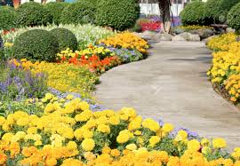 And when you choose discount flower delivery, you know you'll find a great gift without. Garden Flowers Stock Photo Picture And Royalty Free Image Image 52614133