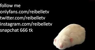 Reibelletv - Record [Chaturbate] bear blacksonboys perra videos-porno -amateur