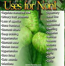Premium Noni Juice Noni Juice Noni Juice Benefits Noni