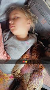 Nevada Chukar Hunters