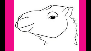 1280 x 1024 jpeg 103 кб. How To Draw A Camel Face Step By Step Drawing Tutorial Youtube