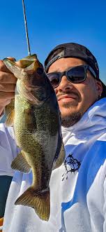 Let's see pics /vids of you at work