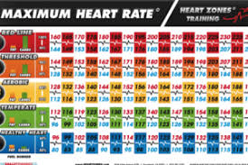 Resting Heart Rate Online Charts Collection